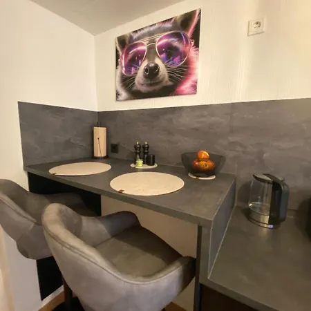 Racoon Lounge Apartment *